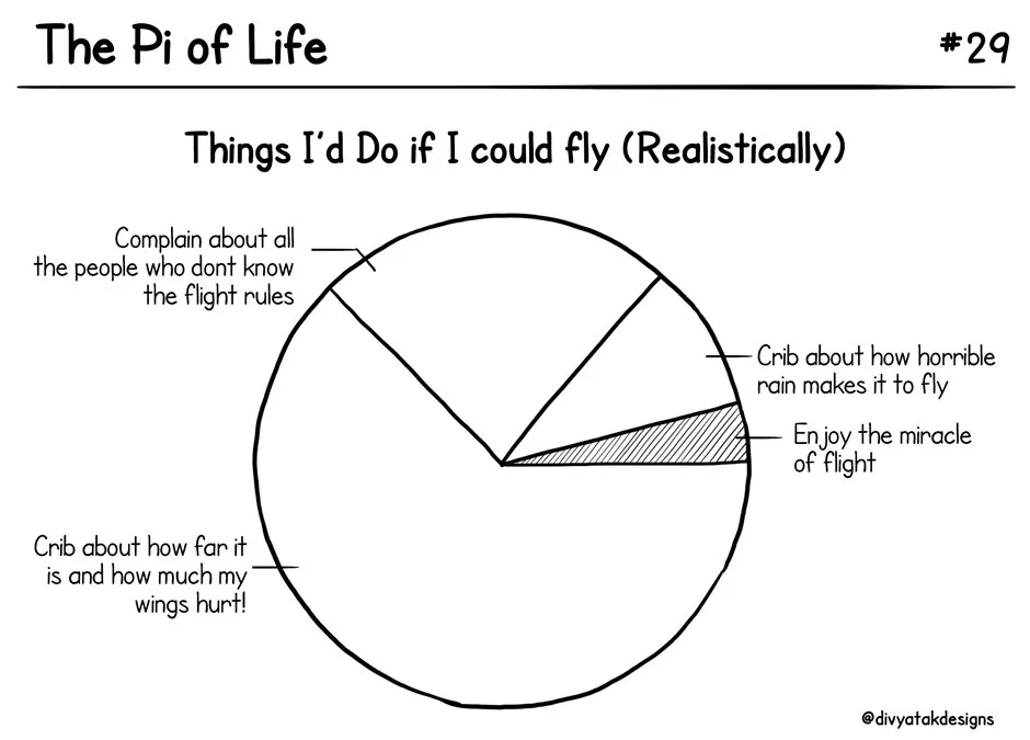 Pi of life 15
